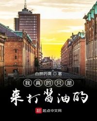 我真的只是来打酱油的