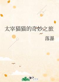 太宰猫猫的奇妙之旅