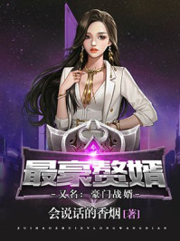 最豪赘婿（又名：豪门战婿）