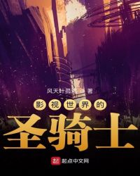 影视世界的圣骑士