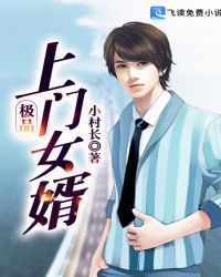 极品上门女婿