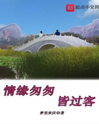 情缘匆匆皆过客