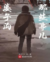 婆子沟那些事儿