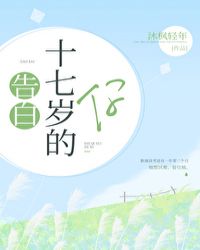 告白十七岁的你