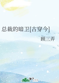总裁的暗卫[古穿今]