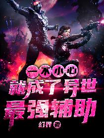 一不小心就成了异世最强辅助