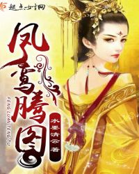 凤鸾腾图
