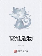 高维造物