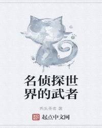 名侦探世界的武者