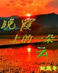 晚霞上的一朵云