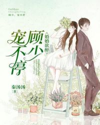 婚婚欲醉：顾少，宠不停