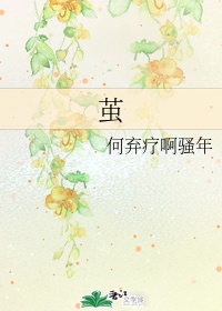 茧