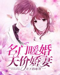 名门暖婚：天价娇妻