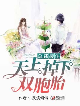 霍少接住，天上掉下双胞胎