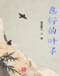 飞行的叶子