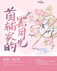 首辅家的黑月光