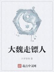 大魏走镖人