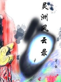 灵洲风云录