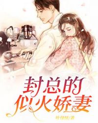 封总的似火娇妻