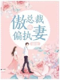 傲慢总裁偏执妻