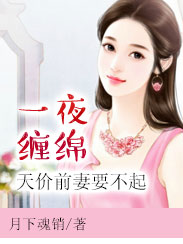 一夜缠绵：天价前妻要不起
