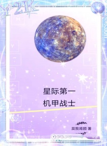 星际第一机甲战士