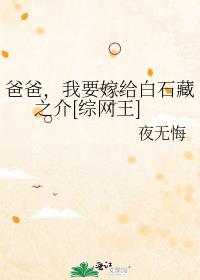 爸爸，我要嫁给白石藏之介[综网王]