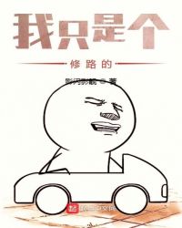 我只是个修路的