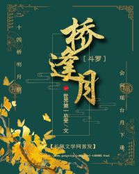 [斗罗]桥逢月