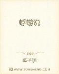 蜉蝣说