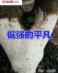 倔强的平凡