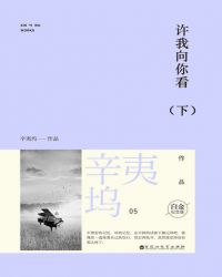 许我向你看（下）