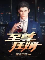 至尊狂婿
