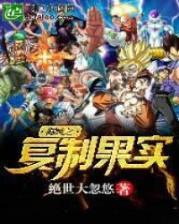 海贼之复制果实