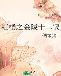 红楼之金陵十二钗