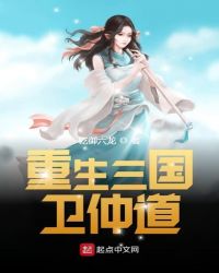 重生三国卫仲道