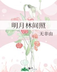 明月林间照