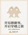 开局被砸死，开启穿越之旅