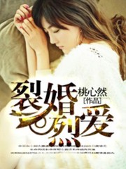 裂婚烈爱