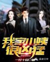 我家小姨很凶猛
