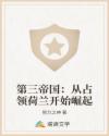 第三帝国：从占领荷兰开始崛起