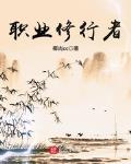 职业修行者
