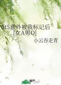 5t5意外被我标记后[女A男O]