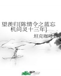 望羡归[陈情令之蓝忘机问灵十三年]